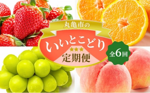 フルーツ 定期便 6ヶ月 丸亀市のいいとこどり定期便 セット 詰め合わせ 桃 ニューピオーネ シャインマスカット みかん いちご デコポン さぬきひめ せとか 果物 6回 半年 デザート フルーツ定期 フルーツ定期便 果物定期 果物定期便 人気果物 人気フルーツ 香川 丸亀