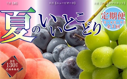 【全3回】 フルーツ定期便 丸亀市夏のいいとこどり定期便 シャインマスカット 桃 ピオーネ 定期配送 頒布会 果実 果物 フルーツ 旬のフルーツ フルーツギフト フルーツ定期 フルーツ定期便 果物定期 果物定期便 人気果物 人気フルーツ 夏フルーツ 香川 丸亀