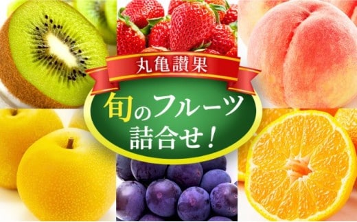フルーツ 詰め合わせ セット 丸亀讃果(1回便) 今が旬の厳選果実 旬のフルーツ 食べ比べ いちご みかん デコポン びわ 桃 梨 ぶどう 柿 キウイ 柑橘 柑橘類 果物 デザート おやつ 旬 産地直送 旬の果物 お取り寄せ 取り寄せ フルーツギフト 人気果物 人気フルーツ 送料無料 冷蔵 冷蔵配送 香川