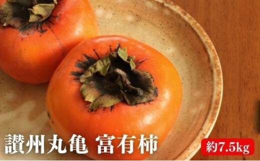 【10月中旬より発送開始】 柿 かき 富有柿 約7.5kg 讃州丸亀 甘柿 フルーツ 果物 果実 デザート おやつ 旬 産地直送 冬の味覚 旬の果物 旬のフルーツ お取り寄せ 取り寄せ 送料無料 香川県 香川 丸亀市 丸亀