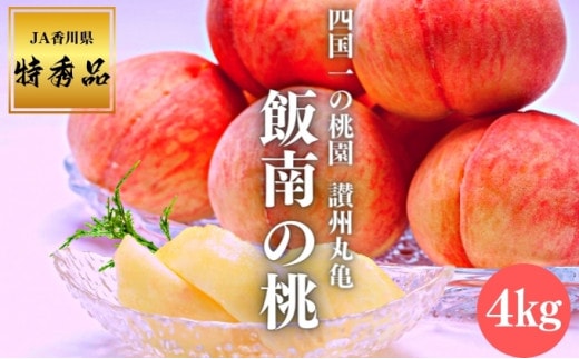 【2027年早期予約】 特秀品 桃 約4kg （目安:11玉～14玉) 讃州丸亀 飯南の桃 飯山 贈答箱 もも モモ 果物 くだもの 果実 フルーツ 旬 旬の果物 デザート スイーツ おやつ ゼリー ジュース 人気果物 人気フルーツ ランキング 香川 丸亀