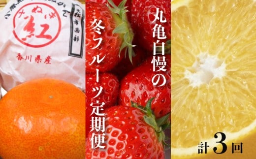 【冬の定期便3回】 丸亀自慢のフルーツ 全3回 定期便 フルーツ 果物 越冬さぬき紅みかん さぬきひめ はっさく いちご 小原紅早生みかん 冷蔵 常温 香川県 丸亀市【離島エリア配送不可】