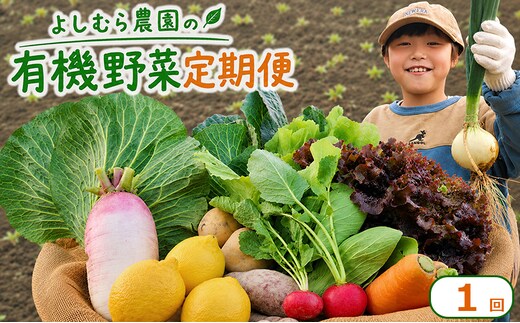 野菜 詰め合わせ 10種 よしむら農園 オーガニック 有機 有機野菜 やさい ベジタブル おまかせ セット 一人暮らし おすすめ レタス とうもろこし トマト 有機栽培 JAS 栄養 贅沢 国産 大容量 人気 新鮮 今が旬 香川県 丸亀市