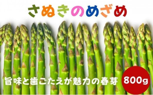 【先行予約】 アスパラガス 早出し さぬきのめざめ 春芽 約800g 期間限定 丸亀産 アスパラ グリーンアスパラ 野菜 旬 旬の野菜 季節の野菜 産地直送 丸亀 香川 冷蔵 冷蔵配送 先行 予約 疲労回復 免疫力向上 食物繊維 ビタミンC 柔らかい 甘い 料理 おかず アスパラベーコン巻き 炒め フライ ポタージュ ふるさと納税アスパラ ふるさと納税野菜 香川県 丸亀市