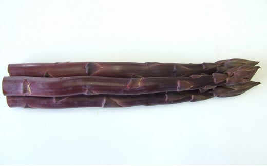 紫 アスパラガス 約800g 丸亀産 アスパラ 希少 幻 紫アスパラガス 野菜 旬 旬の野菜 季節 産地直送 丸亀 香川 冷蔵 疲労回復 免疫力向上 食物繊維 ビタミンC 柔らかい 甘い 香り 料理 おかず アスパラベーコン巻き 炒め フライ ポタージュ ふるさと納税アスパラ ふるさと納税野菜 香川県 丸亀市