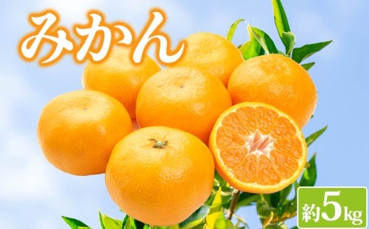みかん 約5kg 柑橘 ミカン 蜜柑 オレンジ 果物 くだもの フルーツ 果実 ジュース ゼリー みかんジュース みかんゼリー スイーツ デザート おやつ ギフト 贈答用 プレゼント 順次発送 香川県 丸亀市