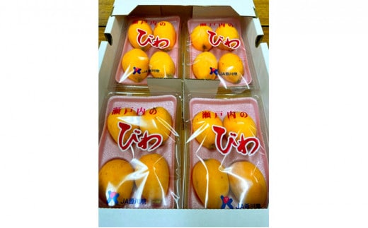 先行予約 びわ 約1kg 家庭用 なつたよりびわ 枇杷 5月下旬～6月下旬 配送 果物 フルーツ 果実 果汁 青果 完熟 新鮮 化粧箱 プレゼント ギフト 季節限定 旬 お歳暮 香川県 丸亀市