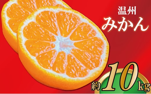 【2026年11月上旬より順次発送】【極撰】みかん 香川 温州みかん 約10kg フルーツ 果物 柑橘 柑橘類 デザート おやつ 旬 産地直送 冬の味覚 旬の果物 旬のフルーツ お取り寄せ 取り寄せ 送料無料 温州ミカン ミカン 蜜柑
