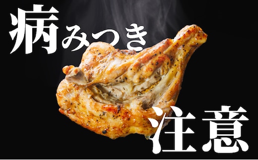 百貨店でも取扱い！本場丸亀の職人がつくる骨付き鳥10本 骨付き鳥 骨付き鶏 ローストチキン チキンレッグ 焼鳥 鶏肉 骨付き肉 骨付き鳥 骨付き鶏 骨付き肉 肉 鶏肉 鶏 ローストチキン 惣菜 加工肉 加工品 冷凍 おかず アウトドア キャンプ ジューシー 柔らかい 簡単調理 鶏もも肉 もも肉 ご当地グルメ B級グルメ おつまみ ビール 伝統 ふるさと納税骨付鶏 ふるさと納税肉 香川県 丸亀市