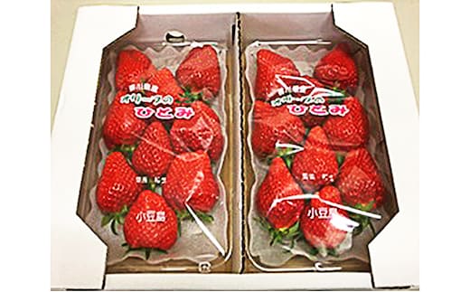 【 小豆島 】小豆島のいちご（女峰）DXパック［ 250ｇ×２パック］ 果物類 苺 イチゴ 