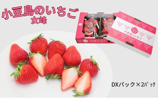 【 小豆島 】【3月からの発送】小豆島のいちご（女峰）DXパック (250g×2パック入り) 果物類 苺 イチゴ 