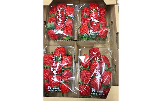 【 小豆島 】【3月からの発送】小豆島のいちご（女峰）230g×4パック 果物類 苺 イチゴ 