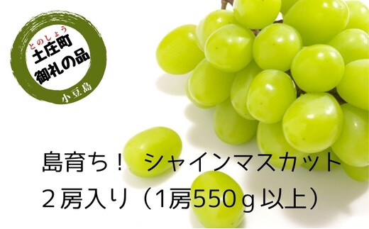 【 小豆島 】島育ち！ハウスシャインマスカット 2房入り 約1.1kg 果物類 ぶどう フルーツ 果物 