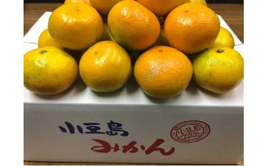 【 小豆島 】小豆島 ゆら早生みかん 約5kg みかん 蜜柑 ミカン ゆら早生 フルーツ 果物 くだもの 国産 香川 香川県 土庄 土庄町
