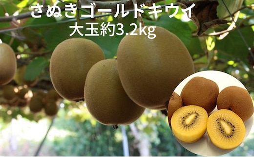 さぬきゴールドキウイ 大玉約3.2kg 果物詰合せ フルーツ 