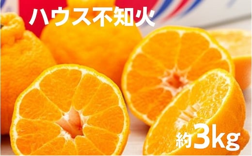 【 小豆島 】 ハウス 不知火 約3kg 化粧箱 しらぬい 柑橘 果物 フルーツ くだもの 国産 香川 香川県 土庄 土庄町