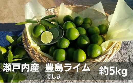 ライム 豊島ライム 約5kg 柑橘 国産 瀬戸内 瀬戸内産 豊島 栽培期間中農薬不使用 皮ごと 果汁 スライス サラダ カクテル ソフトドリンク 果物 くだもの 果物類 柑橘類 果実 フルーツ 生鮮 食品 香り 爽やか 香川 土庄 香川県 土庄町