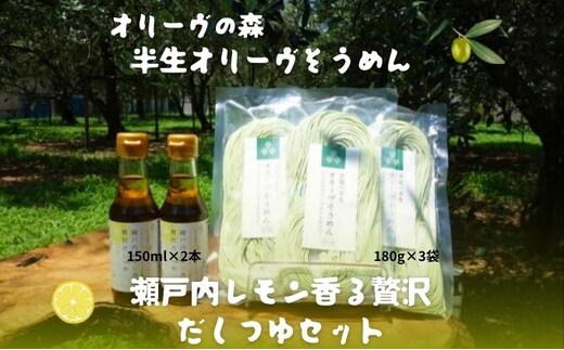 【 小豆島 】オリーヴの森 半生オリーヴそうめんと瀬戸内レモン香る 贅沢だしつゆセット 半生 そうめん 素麺 麺 麺類 レモン 檸檬 爽やか オリーブ だしつゆ ヘルシー 健康 国産 香川 香川県 土庄 土庄町