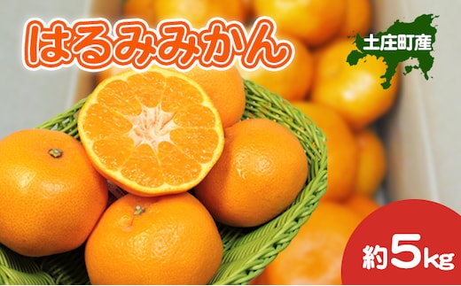 【 小豆島 】 はるみみかん 約5kg 柑橘 みかん ミカン 蜜柑 はるみ 果物 フルーツ ジューシー くだもの 国産 香川 香川県 土庄 土庄町