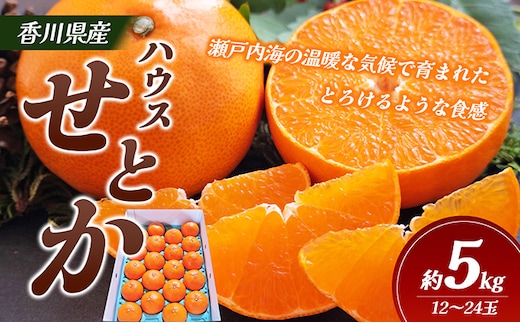 【 小豆島 】 ハウスせとか 約５kg 柑橘 せとか 瀬戸香 ハウス 果物 フルーツ くだもの 瀬戸内 くだもの 国産 香川 香川県 土庄 土庄町 
