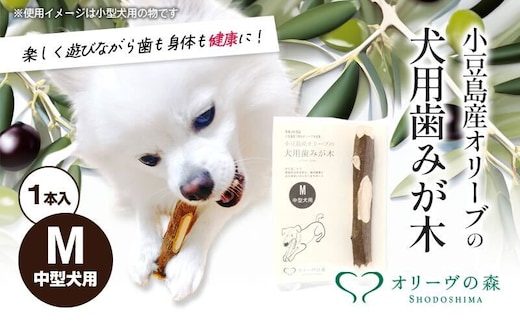 【 小豆島 】 小豆島産 オリーブの犬用はみが木 M(中型犬用) 1本入 ペット 健康 犬 いぬ イヌ 歯磨き 歯みがき ハミガキ オリーブ オリーブ木 犬用 中型犬 香川 香川県 土庄 土庄町