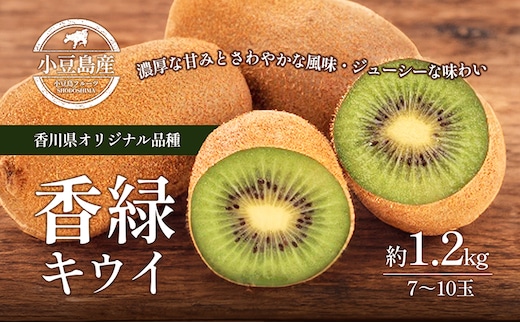 香緑キウイ 約1.2kg