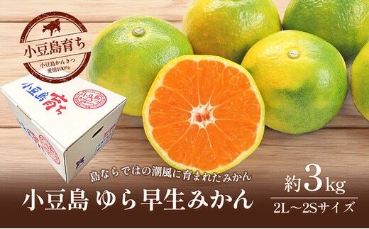 【 小豆島 】小豆島 ゆら早生みかん 約3kg 柑橘 みかん ミカン 果物 フルーツ ゆら早生 ジューシー くだもの 国産 香川 香川県 土庄 土庄町