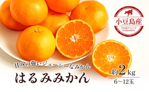 【 小豆島 】小豆島 はるみみかん 約2kg 蜜柑 みかん ミカン はるみ 果物 フルーツ 国産 くだもの 国産 香川 香川県 土庄 土庄町
