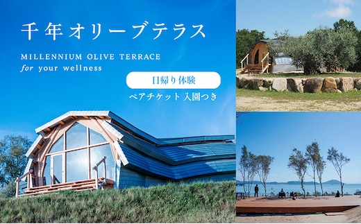 【 小豆島 】千年オリーブテラス for your wellness 日帰り体験 （入園つき） ペアチケット マインドフルネス体験 体験 体験チケット 旅行 旅 オリーブテラス 日帰り チケット ペア 香川 香川県 土庄 土庄町