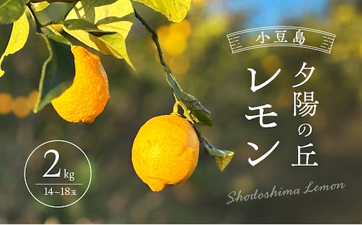 小豆島 夕陽の丘 レモン 2kg (14～18玉) 果物 フルーツ 柑橘 香川 土庄町