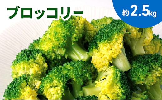 ブロッコリー 約２.5kg