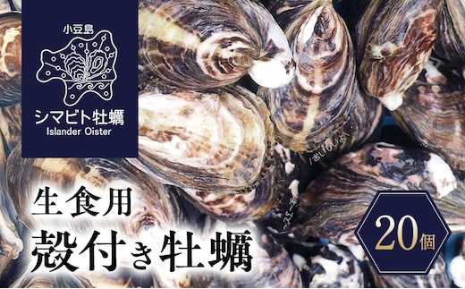 【 小豆島 】小豆島産 シマビト牡蠣 生食用殻付き牡蠣 20個 牡蠣 カキ 生牡蠣 生食用 殻付き シマビト 香川県