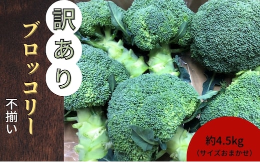 訳ありブロッコリー 約4.5kg（サイズおまかせ）