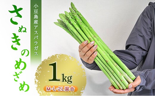 アスパラガス 小豆島産 「さぬきのめざめ」 M、L、2L混合1kg 野菜