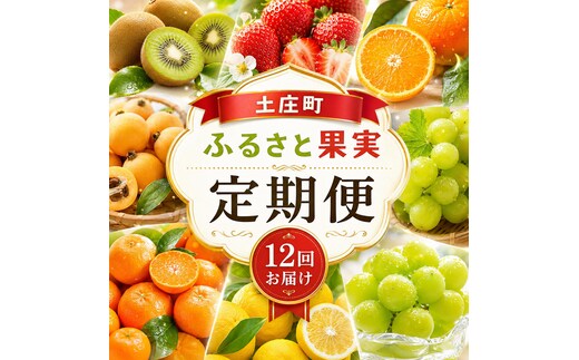 【 小豆島 】【12回お届け】土庄町 ふるさと果実 定期便 12回
