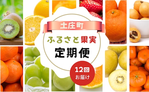 【 小豆島 】【12回お届け】土庄町 ふるさと果実 定期便 12回