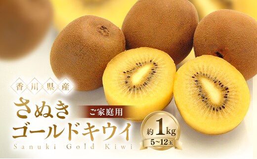 キウイ さぬきゴールド ご家庭用 家庭用 約1kg 5玉から12玉 キウイフルーツ ゴールドキウイ さぬきゴールドキウイ 甘い デザート 朝食 生食 スムージー ヨーグルト 果物 フルーツ くだもの 訳あり 不揃い お取り寄せ 五色青果 香川県 土庄町