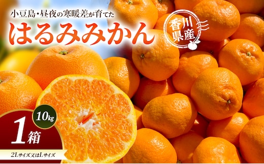 小豆島・昼夜の寒暖差が育てたはるみみかん 2L又はL 1箱(10kg) はるみ みかん 柑橘 フルーツ 果物 くだもの 香川 香川県 土庄 土庄町