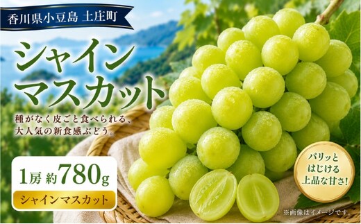 シャインマスカット 1房 約780g マスカット フルーツ 果物 香川県 土庄町