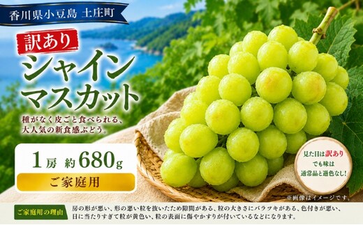 訳あり シャインマスカット 1房 約680g マスカット フルーツ 果物 香川県 土庄町