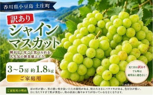 訳あり シャインマスカット 3～5房 約1.8kg マスカット フルーツ 果物 香川県 土庄町
