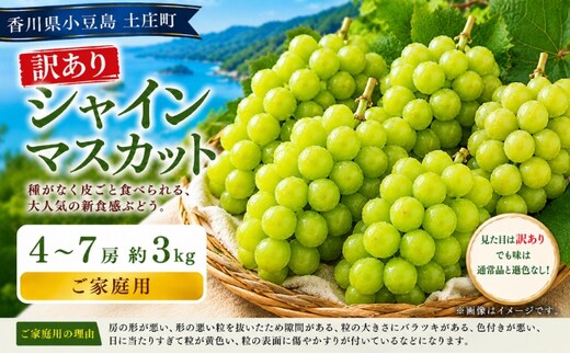 訳あり シャインマスカット 4～7房 約3kg マスカット フルーツ 果物 香川県 土庄町