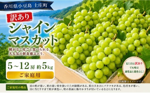 訳あり シャインマスカット 5～12房 約5kg マスカット フルーツ 果物 香川県 土庄町