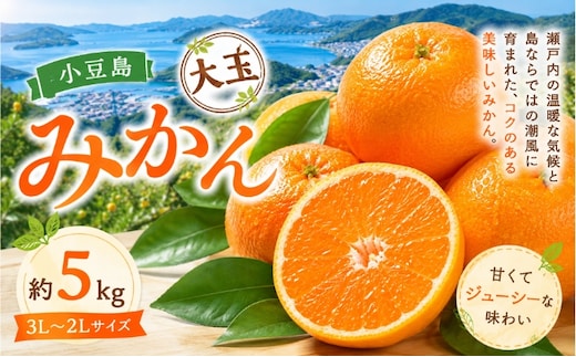 みかん 小豆島 瀬戸内 大玉 大玉みかん 箱買い 約5kg 3L～2Lサイズ 小豆島みかん 温暖 潮風 柑橘 かんきつ 果物 冬の果物 小原紅早生 小原紅早生みかん 早生みかん ハウスみかん ハウス栽培 紅みかん 紅色 品種登録 香川県オリジナル 香川県 土庄町