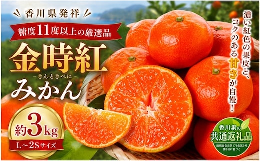 みかん 金時紅 約3kg L～2S 金時紅みかん 糖度11度以上 国産 高糖度 小原紅早生 小原紅早生みかん 早生みかん 紅みかん 紅色 香川県発祥 香川県オリジナル品種 柑橘 かんきつ 果物 冬の果物 越冬さぬき紅みかん 越冬みかん さぬき紅 香川県 土庄町