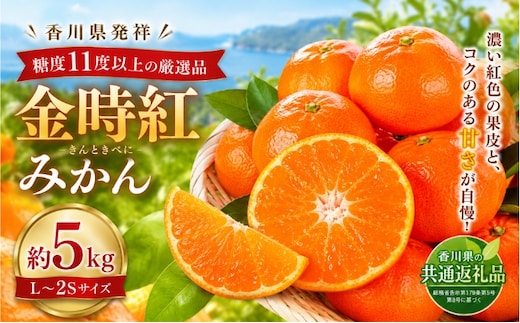 みかん 金時紅 約5kg L～2S 金時紅みかん 糖度11度以上 国産 高糖度 小原紅早生 小原紅早生みかん 早生みかん 紅みかん 紅色 香川県発祥 香川県オリジナル品種 柑橘 かんきつ 果物 冬の果物 越冬さぬき紅みかん 越冬みかん さぬき紅 香川県 土庄町