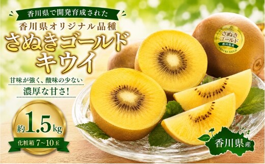 キウイ さぬきゴールド 約1.5kg 7～10玉 化粧箱 国産 さぬきゴールドキウイ キウイフルーツ ゴールドキウイ 黄金色 果肉 大玉 毛がない 甘い 酸味が少ない 香川県育成 果物 フルーツ くだもの デザート ヨーグルト 朝食 贈り物 ギフト 香川県 土庄町