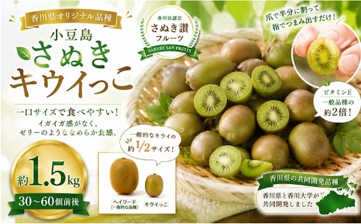 キウイ さぬきキウイっこ 小豆島 約1.5kg 30～60個前後 国産 一口サイズ ミニキウイ キウイフルーツ 糖度17～20度 高糖度 毛がない ゼリー ビタミンE さぬき讃フルーツ 香川県オリジナル 香川大学 果物 フルーツ くだもの デザート 朝食 香川県 土庄町