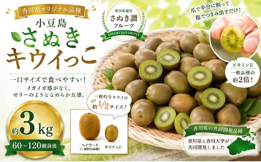 キウイ さぬきキウイっこ 小豆島 約3kg 60～120個前後 国産 一口サイズ ミニキウイ キウイフルーツ 糖度17～20度 高糖度 毛がない ゼリー ビタミンE さぬき讃フルーツ 香川県オリジナル 香川大学 果物 フルーツ くだもの デザート 朝食 香川県 土庄町