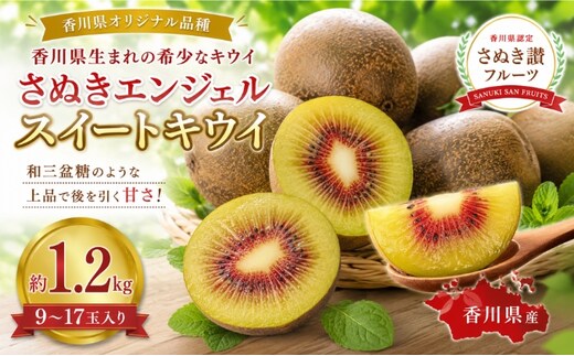 キウイ さぬきエンジェルスイート 約1.2kg 9～17玉入り 国産 エンジェルスイート さぬきエンジェル レッドキウイ 赤いキウイ 高糖度 糖度が高い 酸味が少ない 香川県オリジナル キウイフルーツ 果物 フルーツ デザート 朝食 ヨーグルト 香川県 土庄町